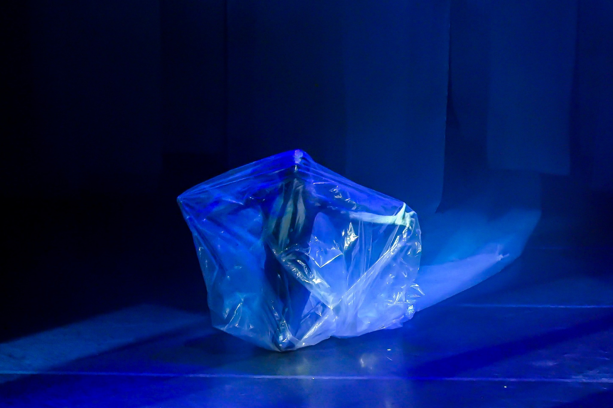 홍장혁 AK ENM 디자이너, 영화감독으로 변신