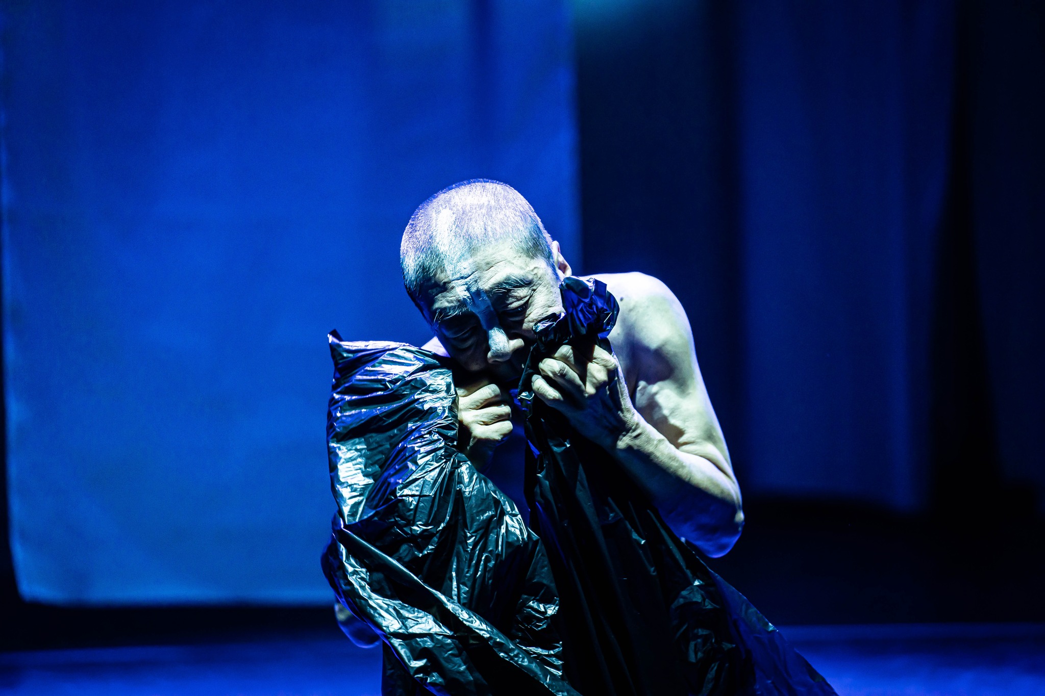 (기사) ARA KOREA 관련 보도